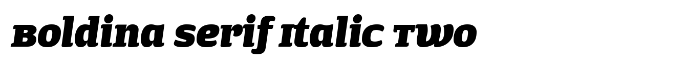 Boldina Serif Italic Two image
